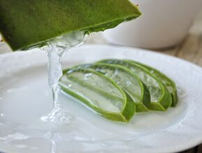 사람들과 이야기하다 알게 된 것들 알로에겔 지금 만나보세요