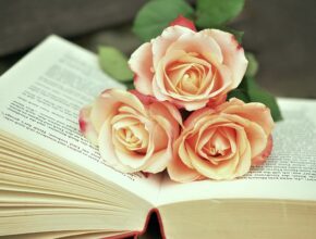 요즘 사람들은 왜 이런 걸 좋아할까? 이지텅 지금 만나보세요