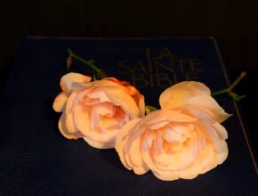 평범한 하루 성경책 지금 만나보세요