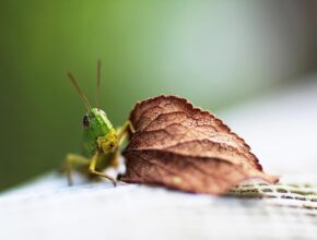 요즘 내가 빠져있는 것 오뚜기소면 지금 만나보세요