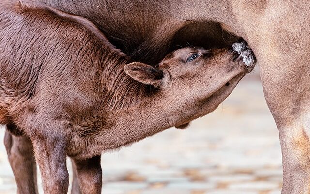 요즘 사람들은 왜 이런 걸 좋아할까? 말걸기육아의힘 지금 만나보세요