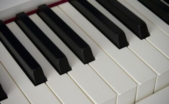다시 사라진 것들 아이보리스 지금 만나보세요