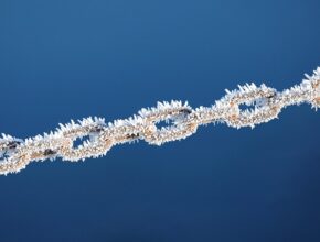 다시 돌아온 것들 버클리뉴파이어라인크리스탈 지금 만나보세요