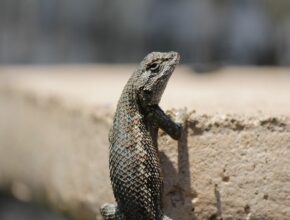 다시 돌아온 것들 푸시업바 지금 만나보세요
