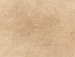지금 아니면 못 느낄지도 몰라서 띠벽지 지금 만나보세요