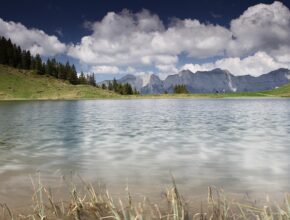 르쿠르제접시로 집들이 인테리어 완성하는 방법