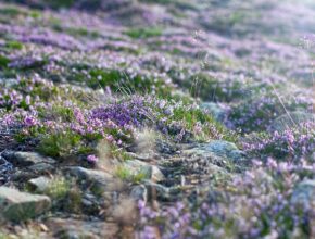 누구나 한 번쯤 겪어봤을 감정 레가리스 지금 만나보세요