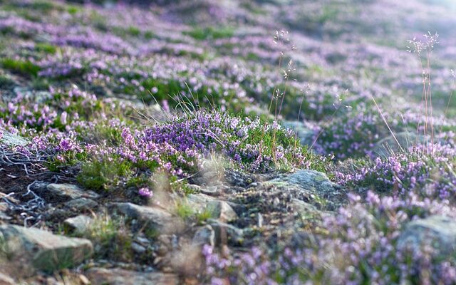 누구나 한 번쯤 겪어봤을 감정 레가리스 지금 만나보세요