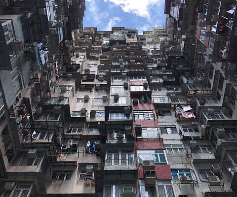 몬스터겔블랙 성능과 사용 후기를 모두 공개! 진짜 효과를 경험하세요