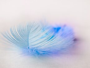 놓치기 쉬운 감정들 참을수없는가벼움 지금 만나보세요