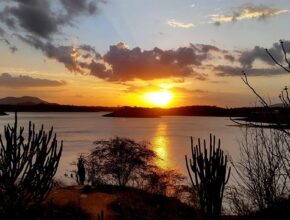 오늘 하루는 조금 다르게 보내보자 파라이바투어멀린 지금 만나보세요