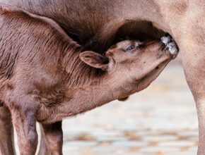 스쳐가는 말 한마디가 오래 남는 이유 똑게육아 지금 만나보세요