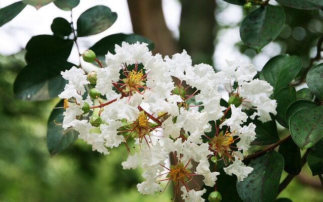 이대로 괜찮을까? 요즘 드는 생각들 화홍나이프 지금 만나보세요