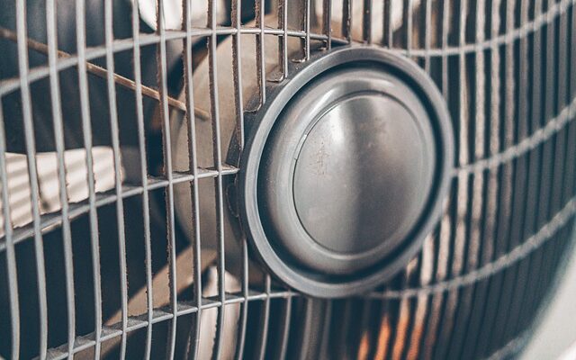 다시 돌아온 것들 다이소선풍기안전망 지금 만나보세요