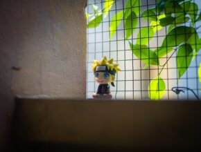 호카호파라 완벽 정복! 꼭 알아야 할 핵심 정보와 인기 비결