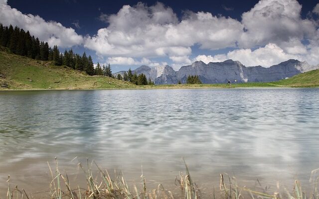 르쿠르제 가방 리뷰와 구매 가이드, 최고의 선택 비법