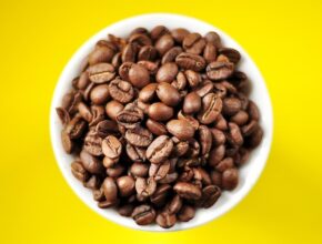 텅 빈 거리에서 발견한 이상한 풍경 업소용에스프레소머신 지금 만나보세요