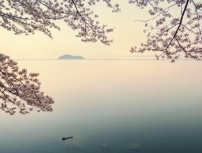 코지타벨리니의 특별한 매력과 역사, 삶의 이야기를 한눈에!