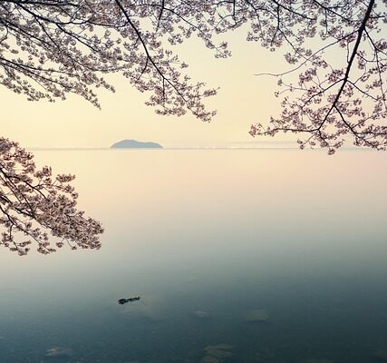 코지타벨리니의 특별한 매력과 역사, 삶의 이야기를 한눈에!