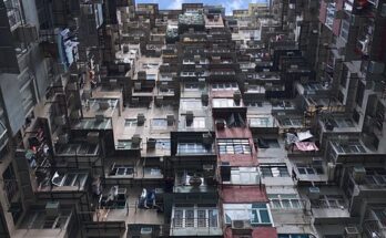 몬스터블랙겔 효과와 사용법! 피부탄력과 미백에 탁월한 비밀
