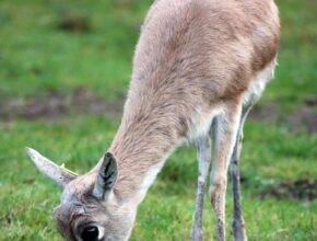 딥디크 향수 특별 할인! 고객 만족도 1위 추천 향수 총집합