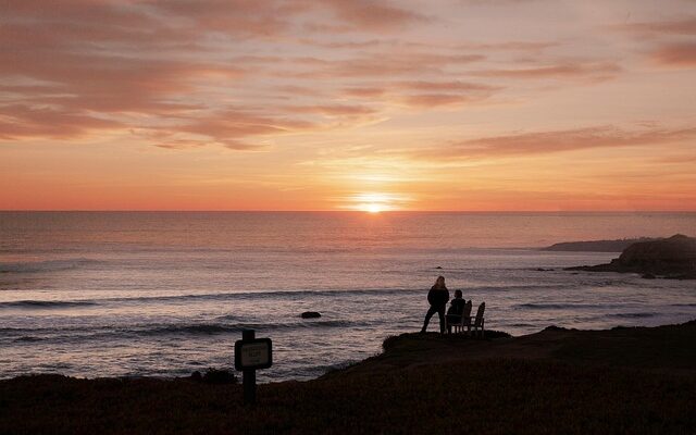 잠깐 멈춰서 바라본 풍경 피칸1kg 지금 만나보세요