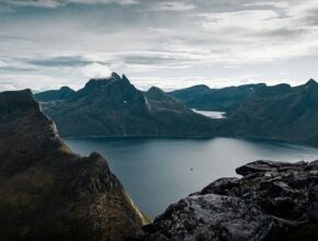 솔솔푸른솔이 전하는 자연의 향기와 건강 비밀