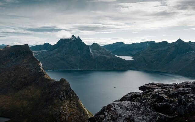 솔솔푸른솔이 전하는 자연의 향기와 건강 비밀