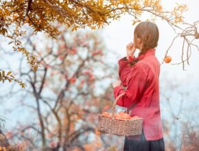 태추단감의 맛과 효능, 그리고 저장법까지 한눈에 알아보기