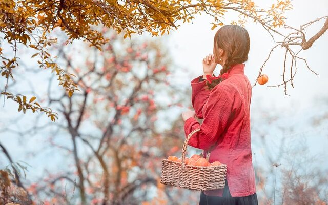 태추단감의 맛과 효능, 그리고 저장법까지 한눈에 알아보기