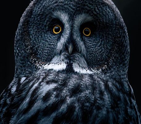 리바트하움보훌로 꾸미는 감성 인테리어와 최신 트렌드