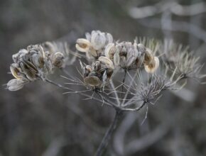 요즘 SNS에서 자주 보이는 트렌드 스탠바이미 지금 만나보세요