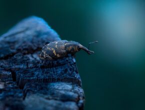 평범한 하루 히로 지금 만나보세요