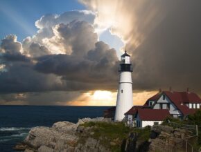 요즘 내가 빠져있는 것 양민혁 포츠머스 임대 지금 만나보세요