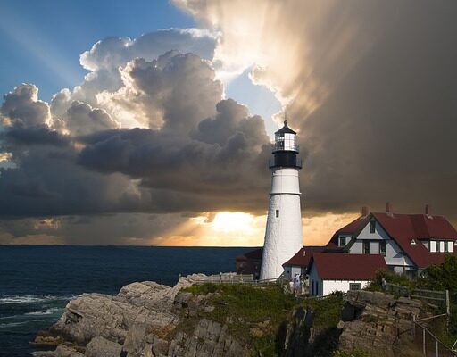 요즘 내가 빠져있는 것 양민혁 포츠머스 임대 지금 만나보세요