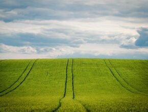 지금 아니면 못 느낄지도 몰라서 보리차농축액 지금 만나보세요