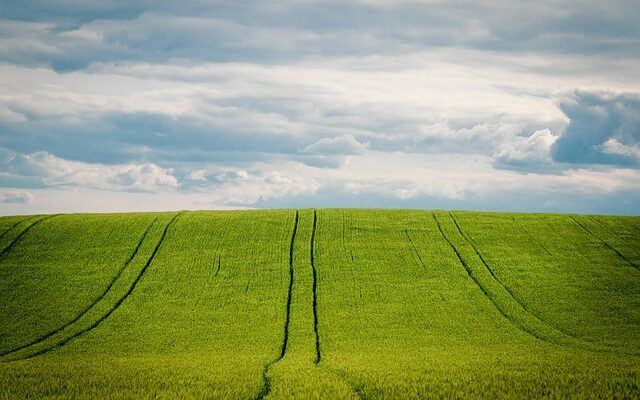 지금 아니면 못 느낄지도 몰라서 보리차농축액 지금 만나보세요