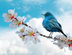 OMAX펜으로 더욱 강렬하게! 한눈에 반하는 필기감 소개