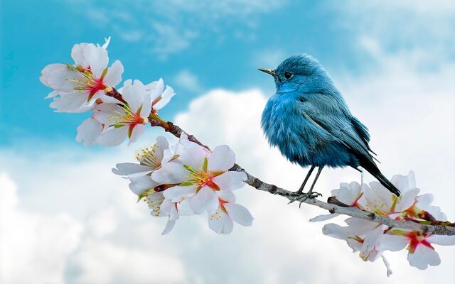 OMAX펜으로 더욱 강렬하게! 한눈에 반하는 필기감 소개