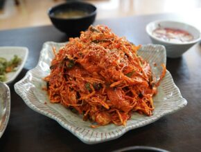 댕댕이냥냥이 사랑하는 사람들을 위한 최고의 반려동물 이야기