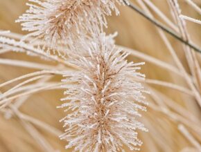 아이패드미니활용법 지금 바로 시작하는 스마트 활용 가이드