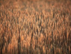 와콤펠트심으로 창작의 한계를 넘다! 최고의 디지털 드로잉 태블릿