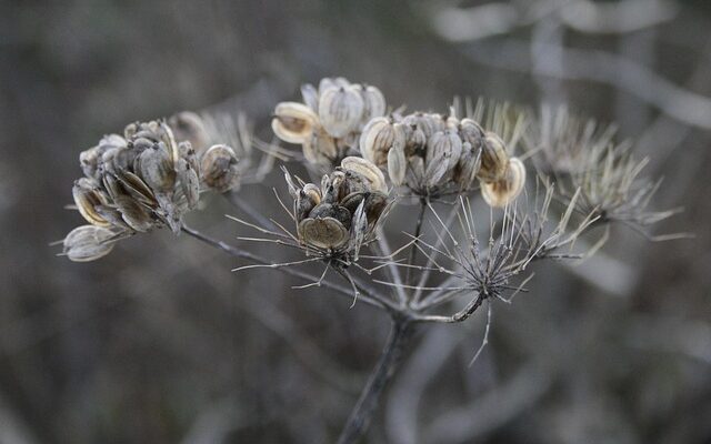 와콤원스탠드거치대로 창작 효율 UP! 편리하고 안정적인 사용법