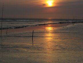 엑스피펜펠트심으로 쉽고 멋지게 만드는 방법