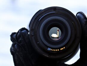 사륜안렌즈의 모든 것: 초보도 쉽게 이해하는 핵심 정보