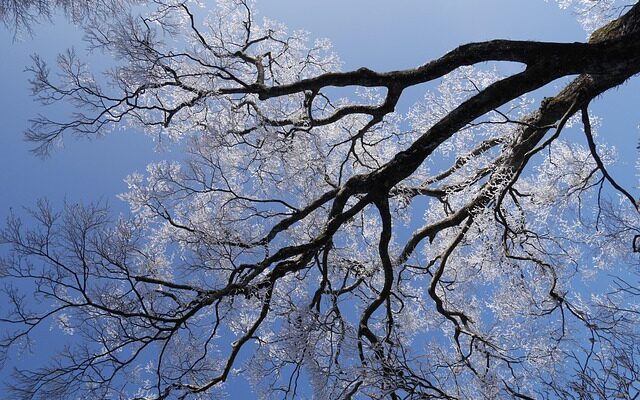 무빙크 활용법과 최신 트렌드, 반드시 알아야 할 모든 것