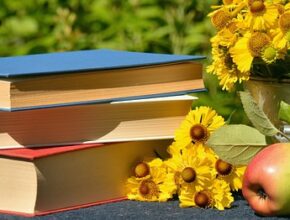 pth660중고 구매 가이드 및 최저가 정보 알아보기