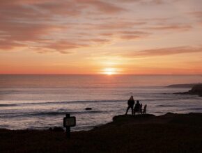 와콤원펜1으로 시작하는 최고의 디지털 드로잉 경험!