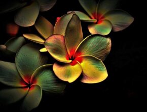 깔끔하고 편리한 멀티탭정리함 추천으로 공간 정리 끝내기