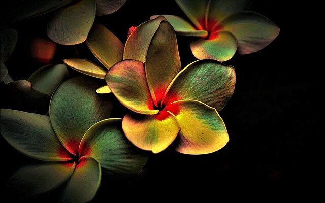 깔끔하고 편리한 멀티탭정리함 추천으로 공간 정리 끝내기